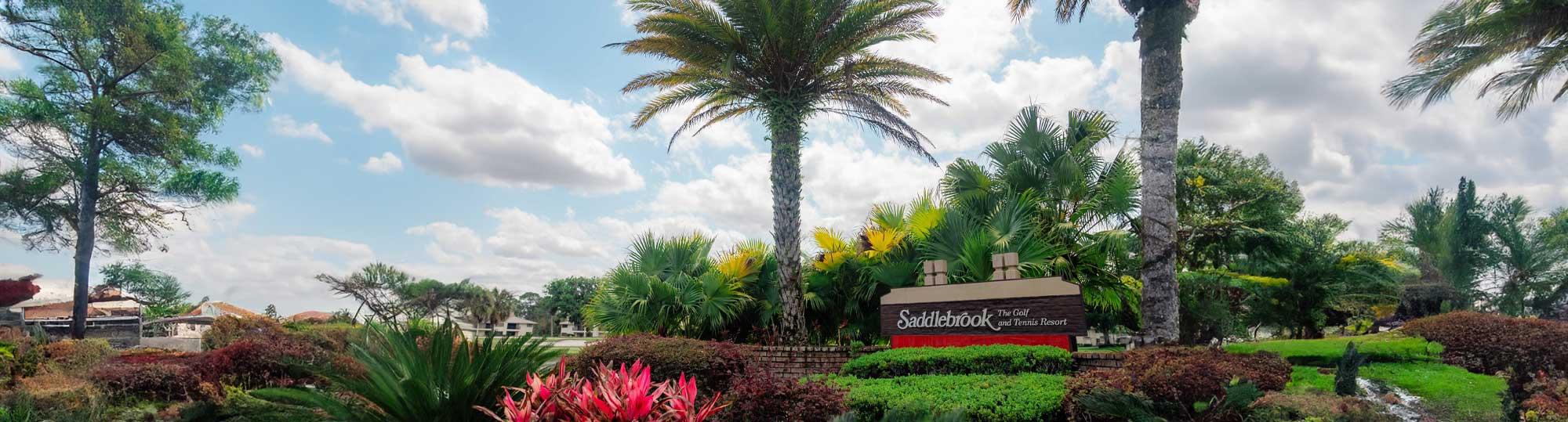 Saddlebrook Resort Hero Banner