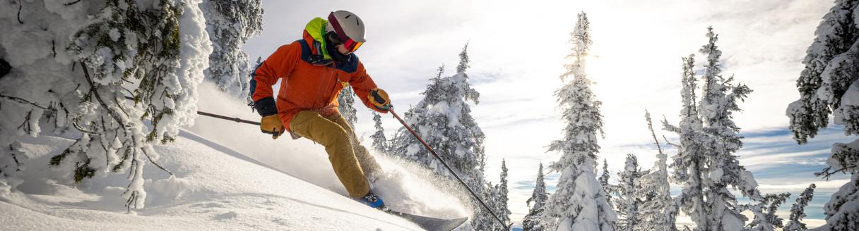 Powder skiing on a sunny day.